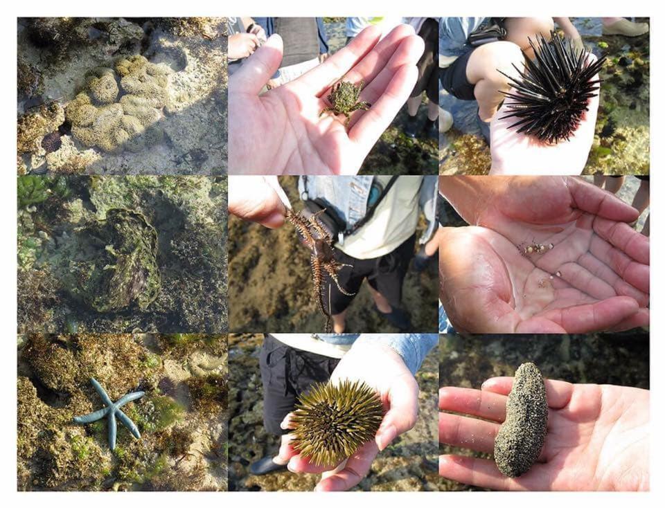 小琉球福緣白龍宮海景公寓 外观 照片